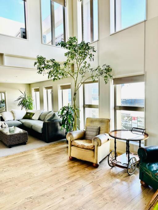 Stunning New York Loft Gallery 基督城 外观 照片